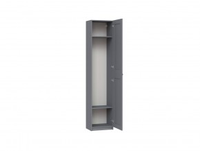 2.06.01.020.4 МАКС шкаф 1 дверь 50х38х233 серый RU в Заречном - zarechnyy.ok-mebel.com | фото 2