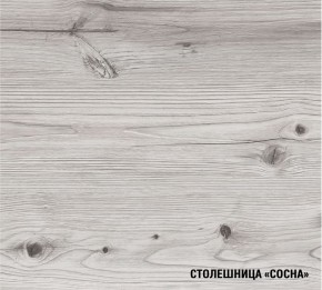 АСАЯ Кухонный гарнитур Экстра 2 (3000 мм) ПМ в Заречном - zarechnyy.ok-mebel.com | фото 8