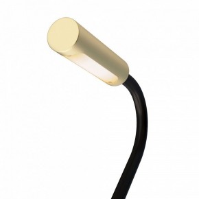 Бра Maytoni Stem C035WL-L3MG3K в Заречном - zarechnyy.ok-mebel.com | фото 6