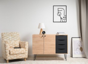 БРЮС Комод 16.233 в Заречном - zarechnyy.ok-mebel.com | фото 2
