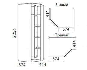 Детская Фанк Шкаф угловой Левый/Правый НМ 013.04-02 М в Заречном - zarechnyy.ok-mebel.com | фото 3
