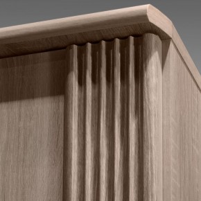 ДИАНА Д11 Шкаф для одежды в Заречном - zarechnyy.ok-mebel.com | фото 7