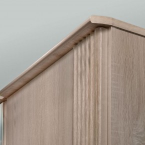 ДИАНА Д11А Шкаф для одежды в Заречном - zarechnyy.ok-mebel.com | фото 5