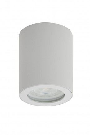 DK3007-WH Накладной светильник влагозащ., IP 44, 15 Вт, GU10, белый, алюминий в Заречном - zarechnyy.ok-mebel.com | фото