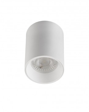 DK3110-WH Светильник накладной IP 20, 10 Вт, GU5.3, LED, белый, пластик в Заречном - zarechnyy.ok-mebel.com | фото