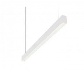 DK9124-WH Линейный светильник 30W 1250mm 4000K, белый в Заречном - zarechnyy.ok-mebel.com | фото