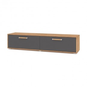 ФЛОРИДА Ф31 Тумба ТВ (дуб золотой/графит) в Заречном - zarechnyy.ok-mebel.com | фото