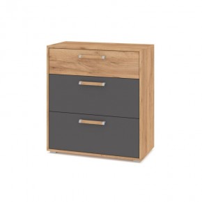 ФЛОРИДА Гостиная (модульная) дуб золотой/графит в Заречном - zarechnyy.ok-mebel.com | фото 8