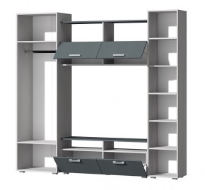 Гостиная Эмми (Анкор светлый/Графит) в Заречном - zarechnyy.ok-mebel.com | фото 3