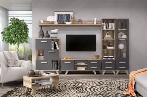 Гостиная Вега Скандинавия (комплект 6) в Заречном - zarechnyy.ok-mebel.com | фото 2