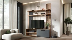 КАРОЛИНА Гостиная (дуб вотан/графит) в Заречном - zarechnyy.ok-mebel.com | фото