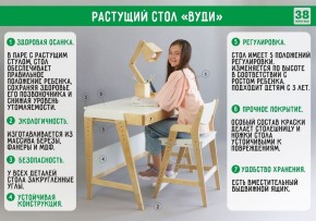 Комплект растущий стол и стул с чехлом 38 попугаев «Вуди» (Серый, Береза, Салют) в Заречном - zarechnyy.ok-mebel.com | фото