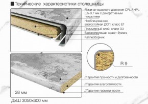 Кухонный фартук со столешницей (А-03) в едином стиле (3050 мм) в Заречном - zarechnyy.ok-mebel.com | фото 6