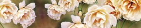 Кухонный фартук Цветы 066 МДФ матовый (3000) Flowers в Заречном - zarechnyy.ok-mebel.com | фото 1