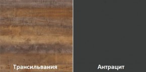 Кухонный гарнитур угловой Трансильвания 2600х1600 мм (Стол. 26 мм) в Заречном - zarechnyy.ok-mebel.com | фото 3