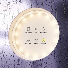 Лента светодиодная Maytoni Led strip 10105 в Заречном - zarechnyy.ok-mebel.com | фото 2