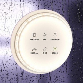 Лента светодиодная Maytoni Led strip 10118 в Заречном - zarechnyy.ok-mebel.com | фото 2