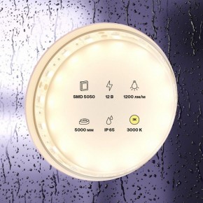 Лента светодиодная Maytoni Led strip 10131 в Заречном - zarechnyy.ok-mebel.com | фото 2