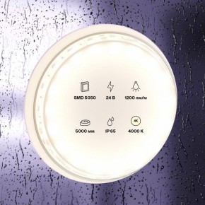 Лента светодиодная Maytoni Led strip 10172 в Заречном - zarechnyy.ok-mebel.com | фото 2