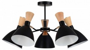 Люстра на штанге EVOLUCE VISTA SLE1256-402-05 в Заречном - zarechnyy.ok-mebel.com | фото
