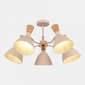 Люстра на штанге EVOLUCE VISTA SLE1256-502-05 в Заречном - zarechnyy.ok-mebel.com | фото 5