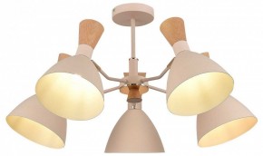 Люстра на штанге EVOLUCE VISTA SLE1256-502-05 в Заречном - zarechnyy.ok-mebel.com | фото 6