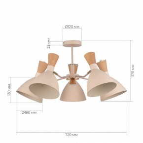 Люстра на штанге EVOLUCE VISTA SLE1256-502-05 в Заречном - zarechnyy.ok-mebel.com | фото 8