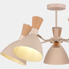 Люстра на штанге EVOLUCE VISTA SLE1256-502-05 в Заречном - zarechnyy.ok-mebel.com | фото 9