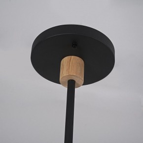 Люстра на штанге Imperiumloft TURNA Black TURNA-DBL01 в Заречном - zarechnyy.ok-mebel.com | фото 9
