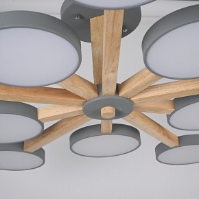 Люстра на штанге Imperiumloft TURNA Gray TURNA-B01 в Заречном - zarechnyy.ok-mebel.com | фото 10