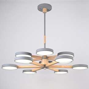 Люстра на штанге Imperiumloft TURNA Gray TURNA-DBL01 в Заречном - zarechnyy.ok-mebel.com | фото 3
