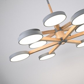 Люстра на штанге Imperiumloft TURNA Gray TURNA-DBL01 в Заречном - zarechnyy.ok-mebel.com | фото 5