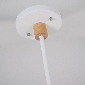 Люстра на штанге Imperiumloft TURNA White TURNA-DBL01 в Заречном - zarechnyy.ok-mebel.com | фото 11