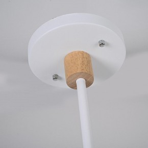Люстра на штанге Imperiumloft TURNA White TURNA-DBL01 в Заречном - zarechnyy.ok-mebel.com | фото 7