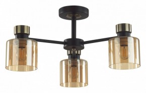 Люстра на штанге Lumion ARLIN 5643/3C в Заречном - zarechnyy.ok-mebel.com | фото