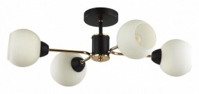 Люстра на штанге Lumion KODI 5646/4C в Заречном - zarechnyy.ok-mebel.com | фото