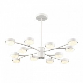 Люстра на штанге Lumion TORINA 8265/12 в Заречном - zarechnyy.ok-mebel.com | фото 2