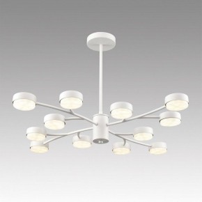 Люстра на штанге Lumion TORINA 8265/12 в Заречном - zarechnyy.ok-mebel.com | фото 3