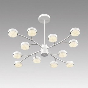 Люстра на штанге Lumion TORINA 8265/12 в Заречном - zarechnyy.ok-mebel.com | фото 5