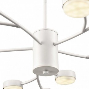 Люстра на штанге Lumion TORINA 8265/15 в Заречном - zarechnyy.ok-mebel.com | фото 8