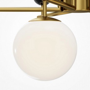 Люстра на штанге Maytoni Museo MOD436PL-07BS в Заречном - zarechnyy.ok-mebel.com | фото 4