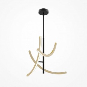 Люстра на штанге Maytoni Wabi MOD428PL-L27BK в Заречном - zarechnyy.ok-mebel.com | фото 5