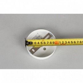 Люстра на штанге Omnilux Mearino OML-29717-08 в Заречном - zarechnyy.ok-mebel.com | фото 10