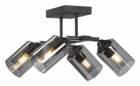 Люстра на штанге Vitaluce V2833 V2833-1/4PL в Заречном - zarechnyy.ok-mebel.com | фото