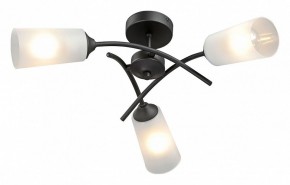 Люстра на штанге Vitaluce V2850 V2850-1/3PL в Заречном - zarechnyy.ok-mebel.com | фото 2
