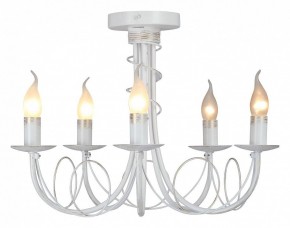 Люстра на штанге Vitaluce V3035 V3035-0/5PL в Заречном - zarechnyy.ok-mebel.com | фото 2