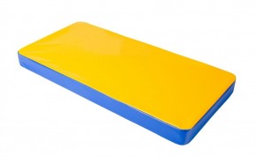 Мат гимнастический 1х0,5х0,08м цв. синий-желтый в Заречном - zarechnyy.ok-mebel.com | фото 1