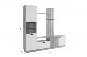 МОДИ Гостиная (модульная) белое дерево в Заречном - zarechnyy.ok-mebel.com | фото 2