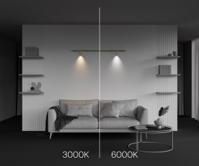 Модульный светильник Maytoni Focus LED C102CL-3W3-6K-BS в Заречном - zarechnyy.ok-mebel.com | фото 4