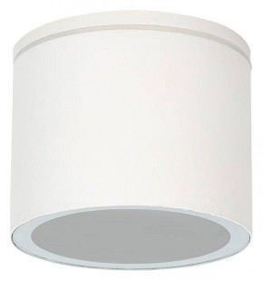 Накладной светильник Arte Lamp Piautos A1913PF-1WH в Заречном - zarechnyy.ok-mebel.com | фото